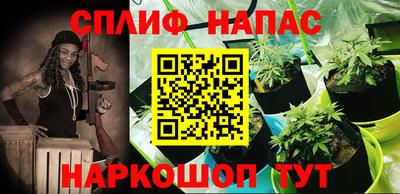 a pvp Краснознаменск