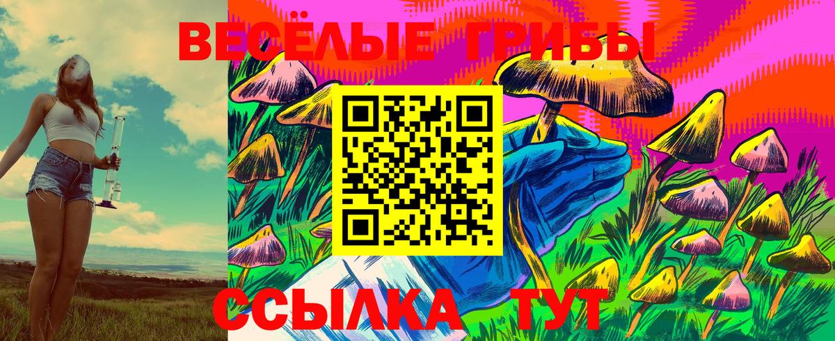 Галлюциногенные грибы мицелий Дубна