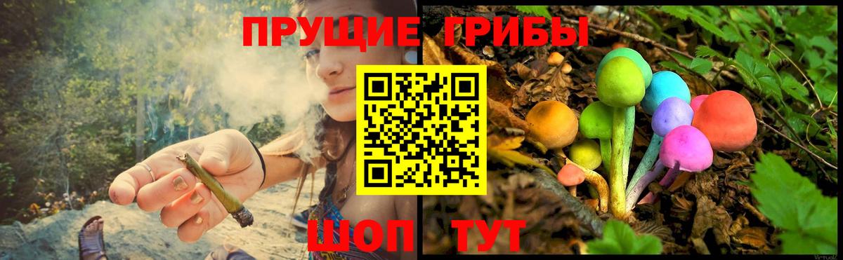 Дубна  Псилоцибиновые грибы Magic Shrooms  Вход с VPN  Галлюциногенные грибы ЛСД 